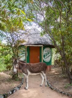Shik Shack Backpackers - Guernsey Nature Reserve - 6
