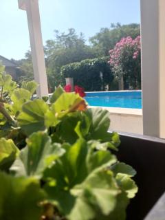 Villa JoHa - Vrboska (Verbosca) - 6