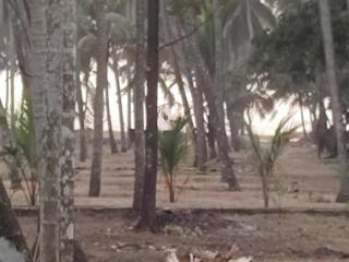 Katadi beach homestay - Trichūr - 7