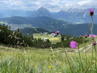 Antoni Apartements - Seefeld in Tirol - 2