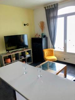 Appartement avec 2 chambres - Métro 8 Ecole Veterinaire - 5