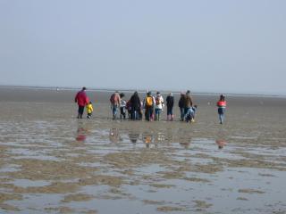 Neptunweg - Cuxhaven - 2