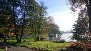 Mobilheim am See - Wittenborn - 3