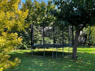 MAISON À MAUSSANE-les-ALPILLES - Maussane les Alpilles - 5