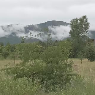 La Casita de Onha - 8