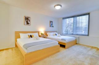 Business or Vacations This Apt is Perfect to Both - Arlington - 8