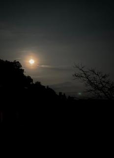 1111 Villa - The Human Happiness project - MUKTESHWAR - ------------- ---------------- --------------------- ------------------------------ --------------------------------------------- ------------Jacuzzi - Private Property with Garden and Orchard - 2