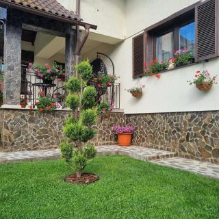 Pensiunea Select - Curtea de Argeş - 7