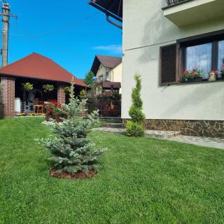Pensiunea Select - Curtea de Argeş - 8
