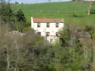 Gite La Grange de L'effraie - Beauzac - 0