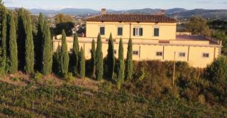 Apartment in villa Il Castellaccio - Poggio a Caiano - 7