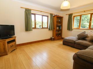 Fferam Y Llyn - Llanfflewyn - 1