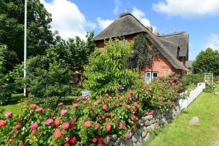 Ferien unterm Reetdach Whg 03 - Oevenum - 9