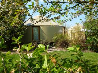 Les Yourtes du Perche - Coulonges-sur-Sarthe - 0