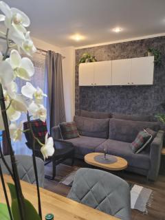 Apartament Pod Orzechem - Bydgoszcz - 9