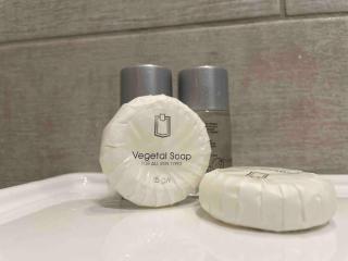 Spacious and Bright - 6