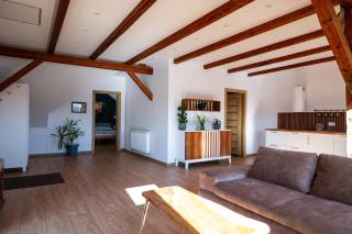 Apartament Pod Bukowym Lasem - 3