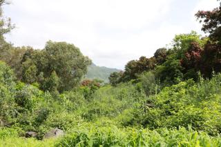 SeverinaTours - Rui Vaz - 0
