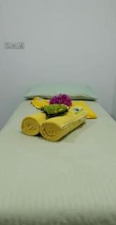 Duw's White House - Mount Lavinia - 4
