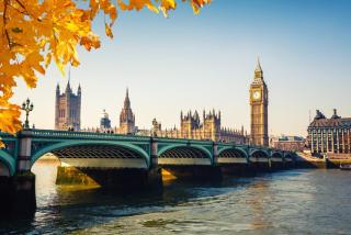 Charming Flat in Central London - Londra - 6