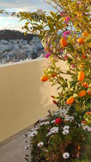 Pythagoras Acropolis - 6