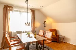 APARTMENT an den Weinbergen - 1