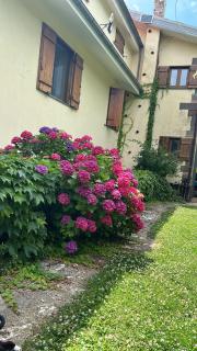 Agriturismo Casale Piè d'Eco - Calvanico - 7
