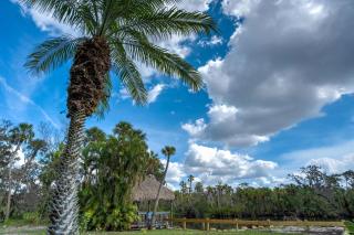 Riverside Oasis Home w Tiki Hut & Firepit - Bradenton - 4