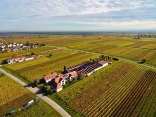 Ferienwohnung Weingut Braun & Söhne - 2