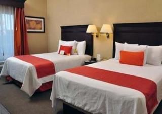 Hotel Mesaluna Near American Consulate - Ciudad Juárez - 9