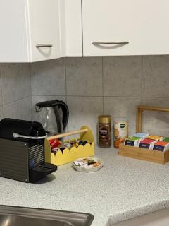 Studio with lake and mountain view - 2