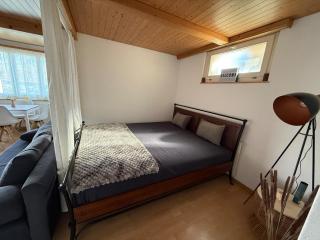 Studio with lake and mountain view - 8