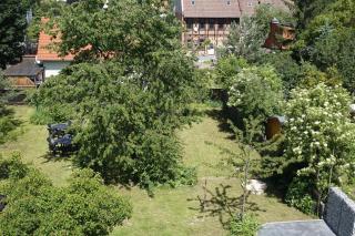 Ferienhaus Hundertmorgenfeld Wo2 - Wernigerode - 6