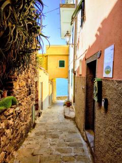 Belvedere Home Holiday - Corniglia - 9