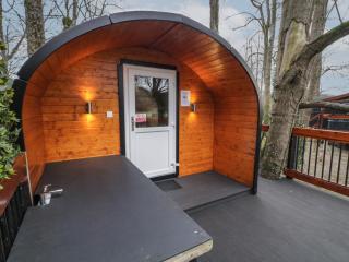 Elm - Dungiven - 8