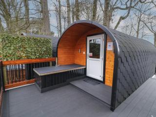 Elm - Dungiven - 9