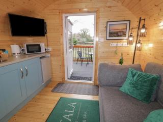 Elm - Dungiven - 5