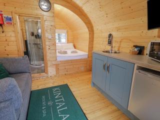 Elm - Dungiven - 4