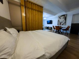Apartament 1 Ultra Central - Cluj-Napoca - 7