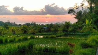P'Moon Open Inn - Jasri - 0