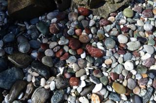 Driftwood Cottage By The Ocean Beach & Redwoods - 1