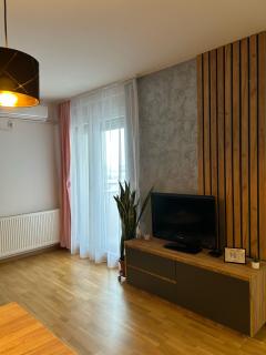 Apartman NS FREE PARKING - Novi Sad - 6