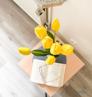 Ferienhaus Bungalow nahe Kurpark Döse - 7