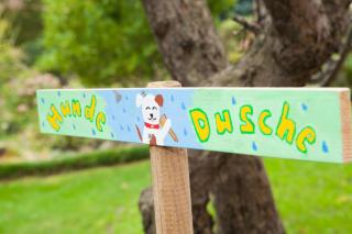 Carpe Diem Dahme - Dahme - 5