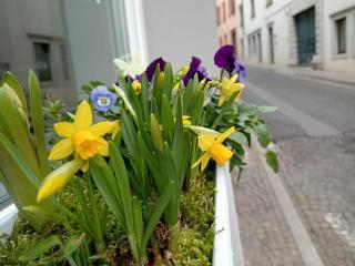 Affittacamere CASA DOLCE CASA SAN DANIELE - 5