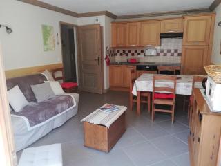 les 7 laux immobilier chalet D - Prapoutel - 5