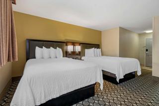 Best Western Plus InnTowner Madison - Madison - 8