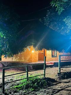 Jungle Farm House - 6