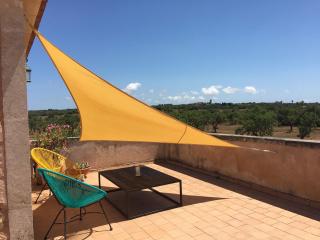 Finca Can Llop - Campos - 4