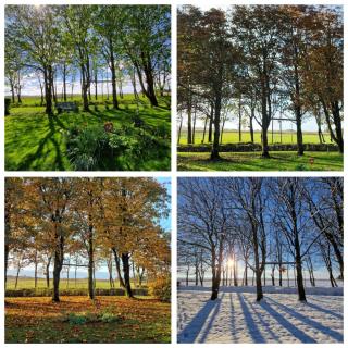 Ferienwohnung Sort Sol Grellsbülldeich 7 - 0